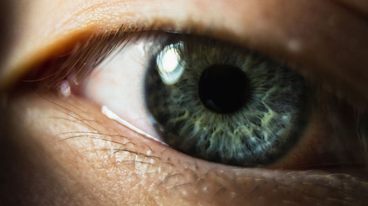 The Eyes You Train Blind. Why Vision Is A Trainable Athletic System, Not A Fixed Gift.
