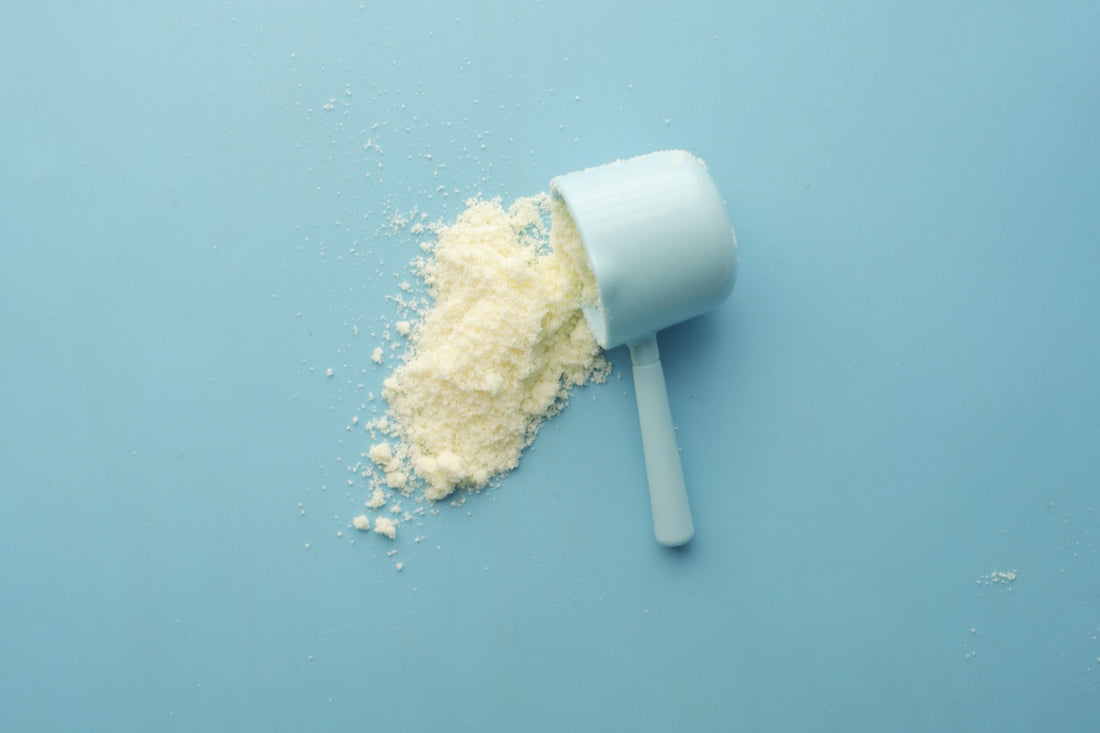 Creatine's Cognitive Wave. What The Brain Research Actually Shows At Higher Doses.