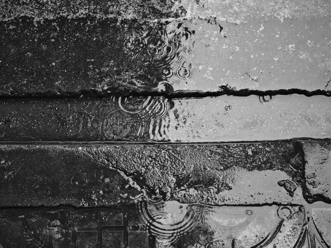 The Last Week Of Winter. What It Means To Reach The End Of A Cold Season Having Never Negotiated With It.
