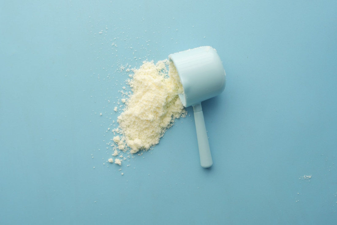 The Filter You Never Thank. What Your Kidneys Actually Do With Your Protein And Your Creatine.