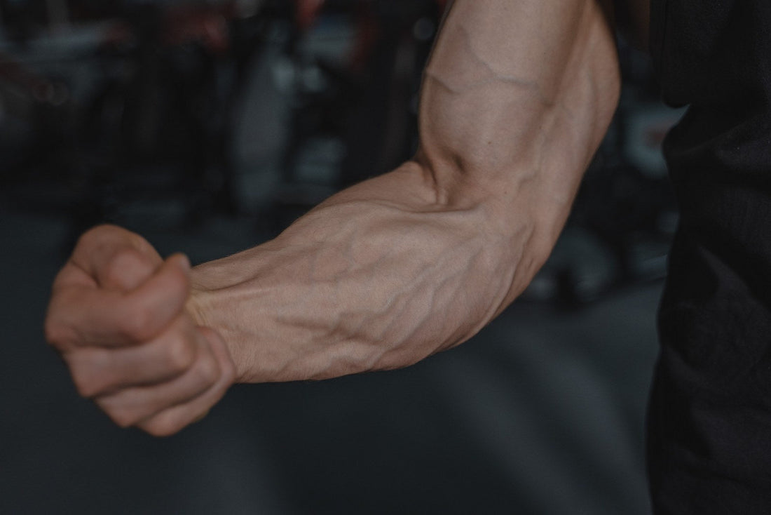 The Vascular Floor. The Smallest Vessels In Your Body Decide How Much Training You Can Actually Absorb.