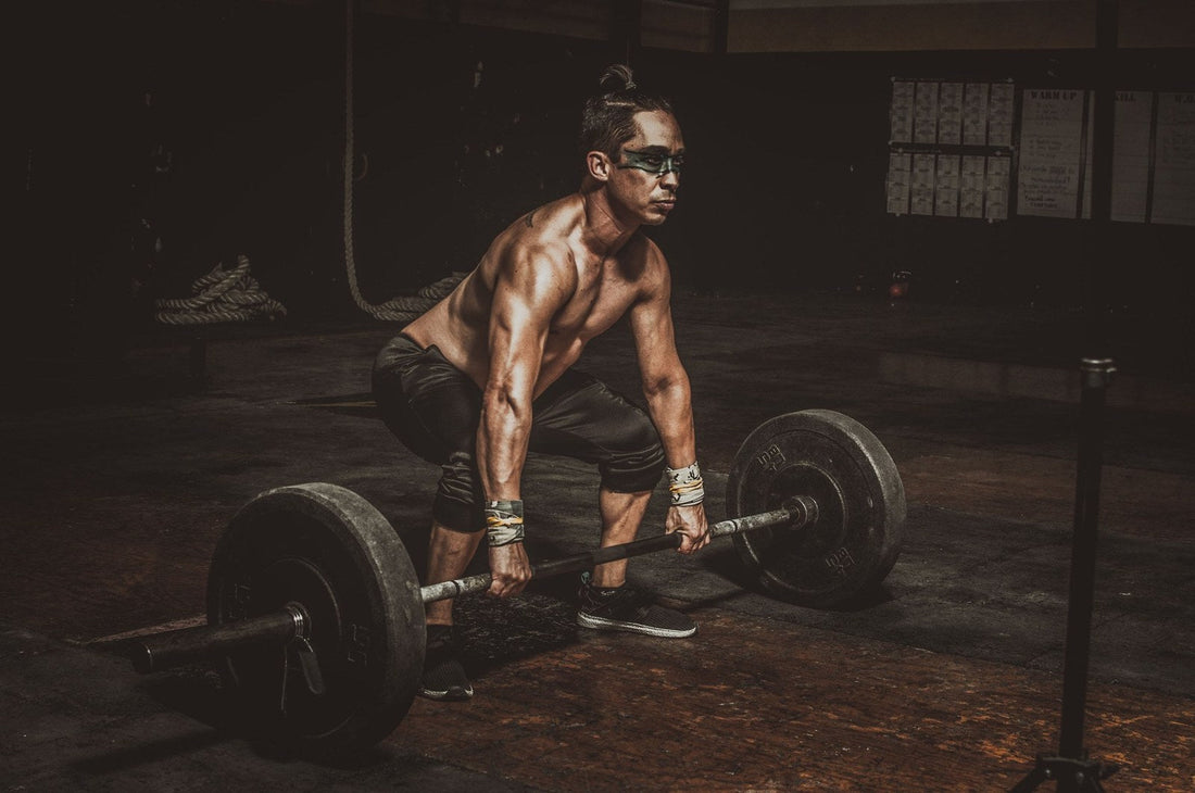 The Disc That Holds You. What Actually Happens Inside Your Spine Under Load.