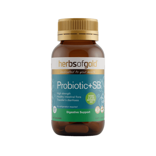 Probiotic+SB Herbs of Gold Probiotics & Probiotic+SB Herbs of Gold Probiotics 60 Capsules