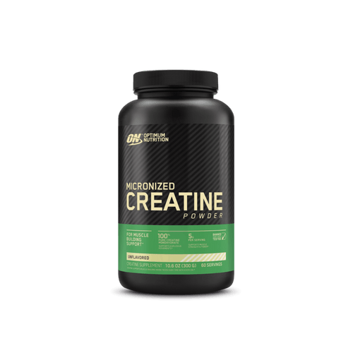 Optimum Nutrition Micronized Creatine Optimum Nutrition Creatine monohydrate supplements
